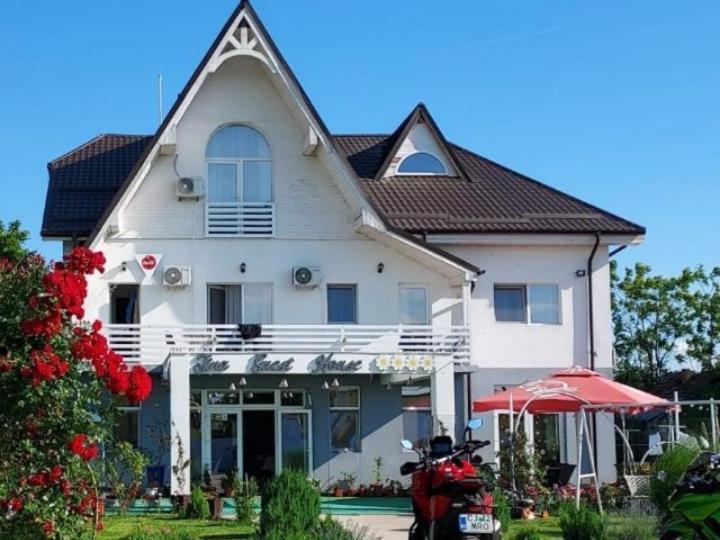Tina Guest House Basarabi Extérieur photo